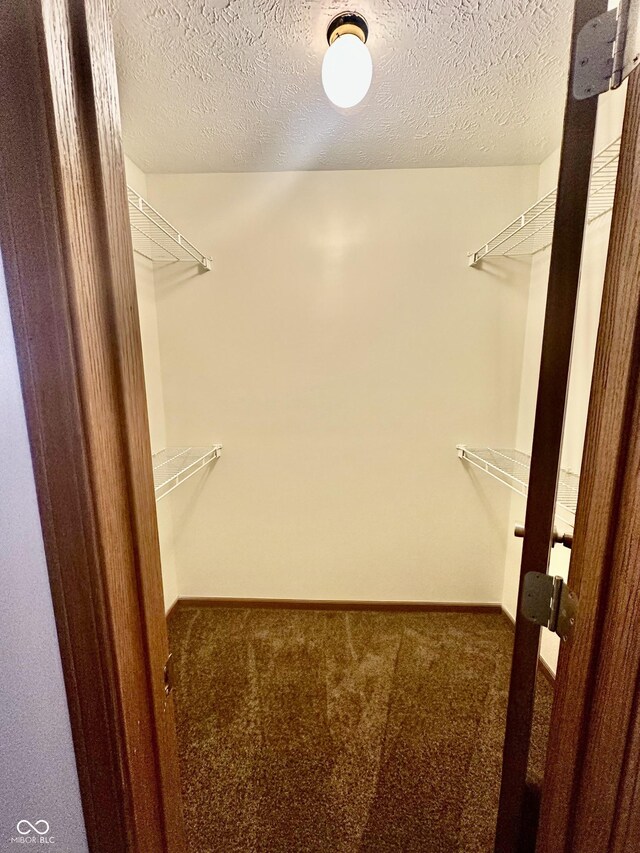 1081 Torino Ln, Franklin, IN 46131 - photo 9