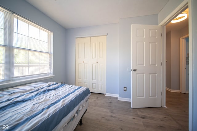 bedroom with a closet, baseboards, wood finished floors, and multiple windows