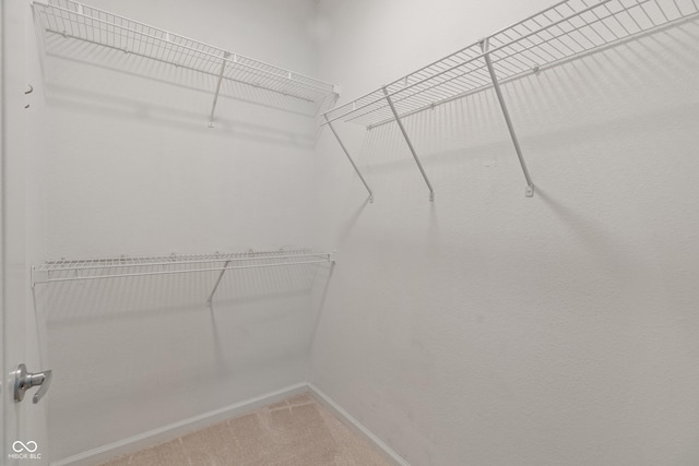 spacious closet with carpet