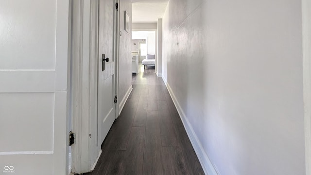 3436 Garden Ave, Indianapolis, IN 46222 - hall with dark wood-style flooring and baseboards