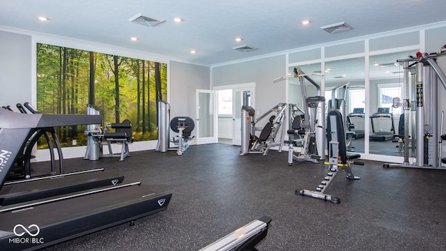 2542 Barstow Dr, Whitestown, IN 46075 - exercise room featuring plenty of natural light, ornamental molding, and recessed lighting
