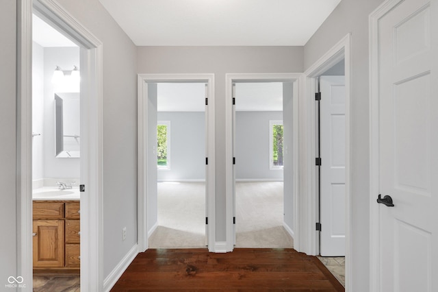 10602 Fall Rd, Fishers, IN 46037 - hallway featuring wood finished floors, a sink, healthy amount of natural light, and baseboards