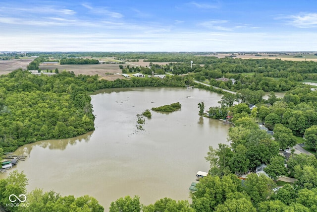 809 Iron Bridge Rd, Cicero, IN 46034 - aerial view of a large body of water