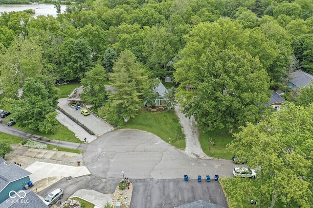 809 Iron Bridge Rd, Cicero, IN 46034 - bird's eye view