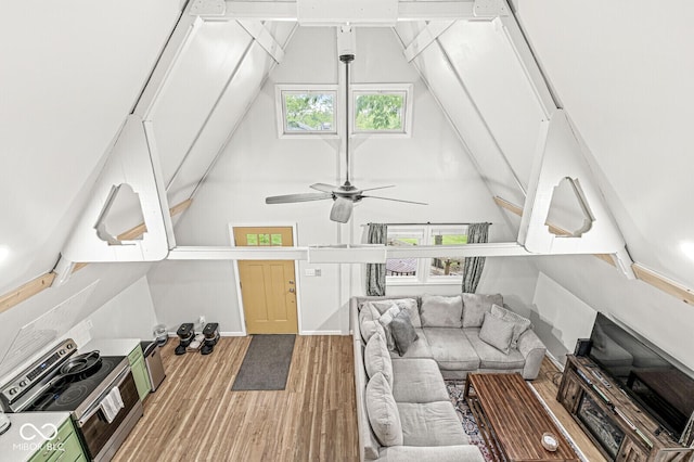 809 Iron Bridge Rd, Cicero, IN 46034 - living room featuring wood finished floors, plenty of natural light, ceiling fan, and high vaulted ceiling