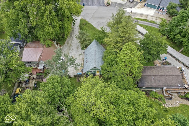 809 Iron Bridge Rd, Cicero, IN 46034 - bird's eye view