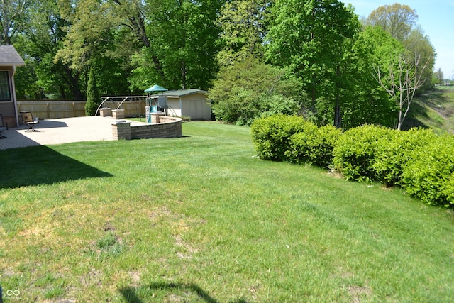 view of yard with a patio, a storage unit, and an outdoor structure
