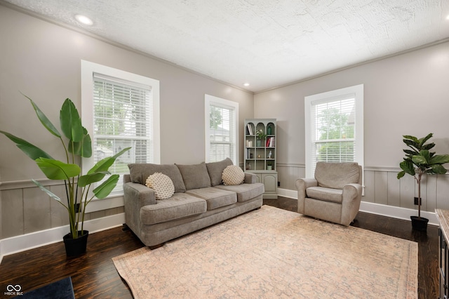 3019 W Huntsville Rd, Pendleton, IN 46064 - living room with dark wood-style flooring, wainscoting, and recessed lighting