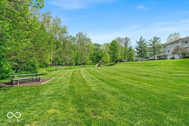 view of grassy yard