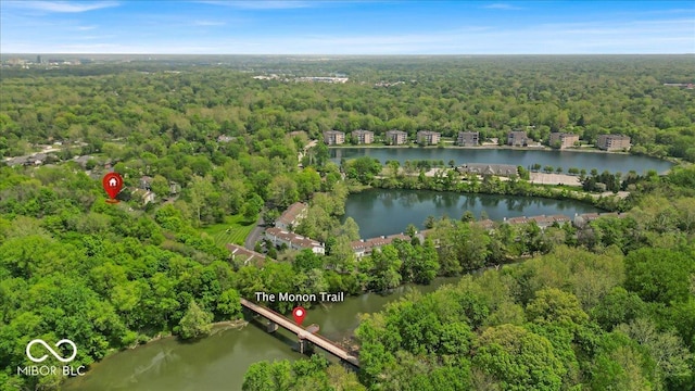 aerial overview of property's location with a forest and a large body of water