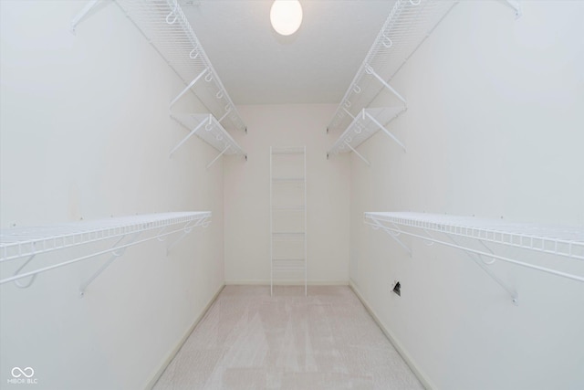10833 Tournament Ln, Indianapolis, IN 46229 - walk in closet with light carpet