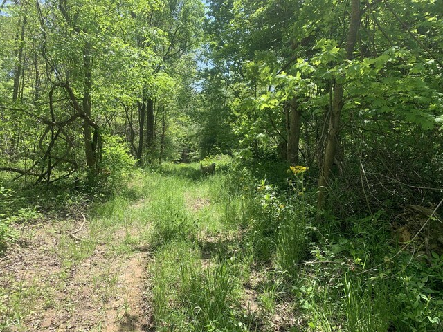 3345 W Strawberry Rd, Montezuma, IN 47862 - photo 32