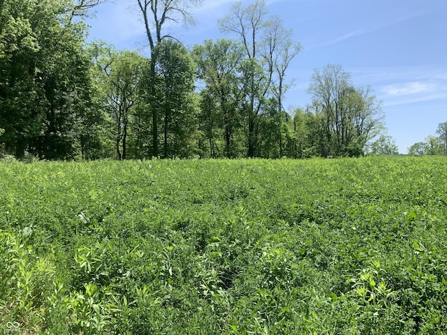 3345 W Strawberry Rd, Montezuma, IN 47862 - photo 33