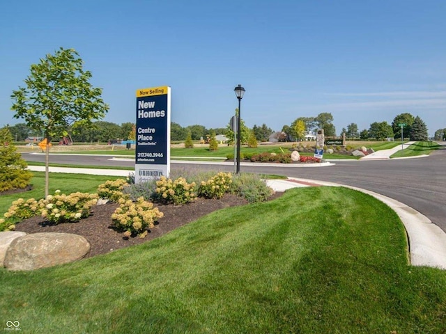 24391 Stout St, Sheridan, IN 46069 - view of home's community featuring a yard