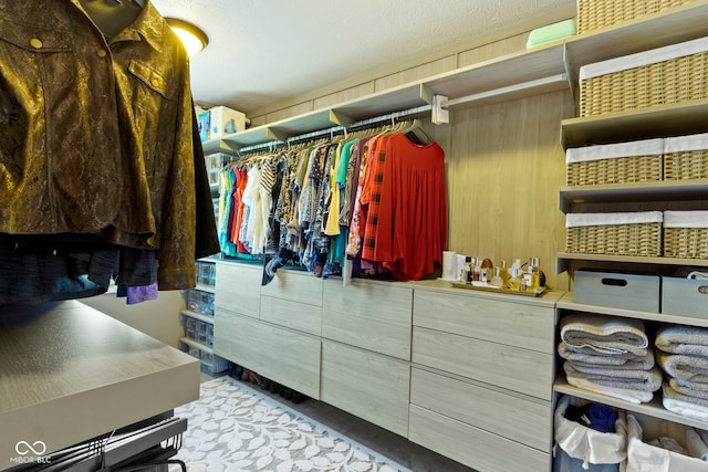 view of walk in closet