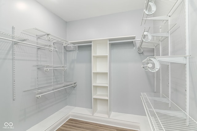 spacious closet with wood finished floors