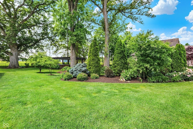 8905 Stonebriar Dr, Indianapolis, IN 46259 - photo 86