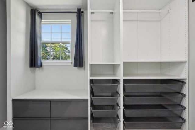 view of walk in closet