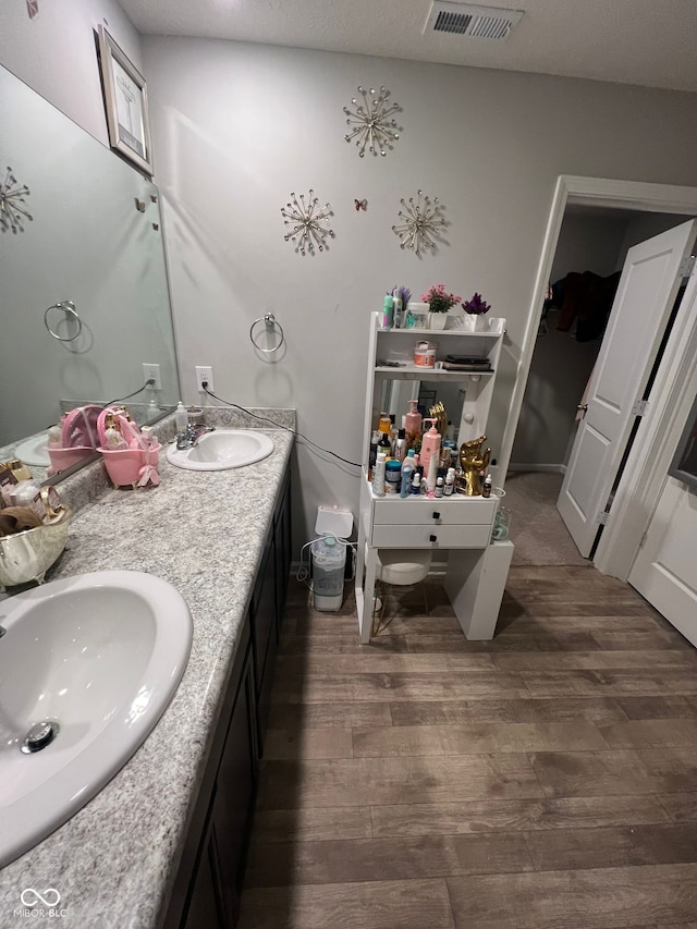 bathroom featuring wood finished floors and double vanity