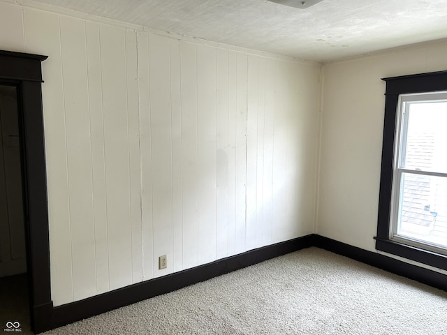 205 N Sheffield Ave, Indianapolis, IN 46222 - carpeted empty room featuring healthy amount of natural light, baseboards, and wooden walls