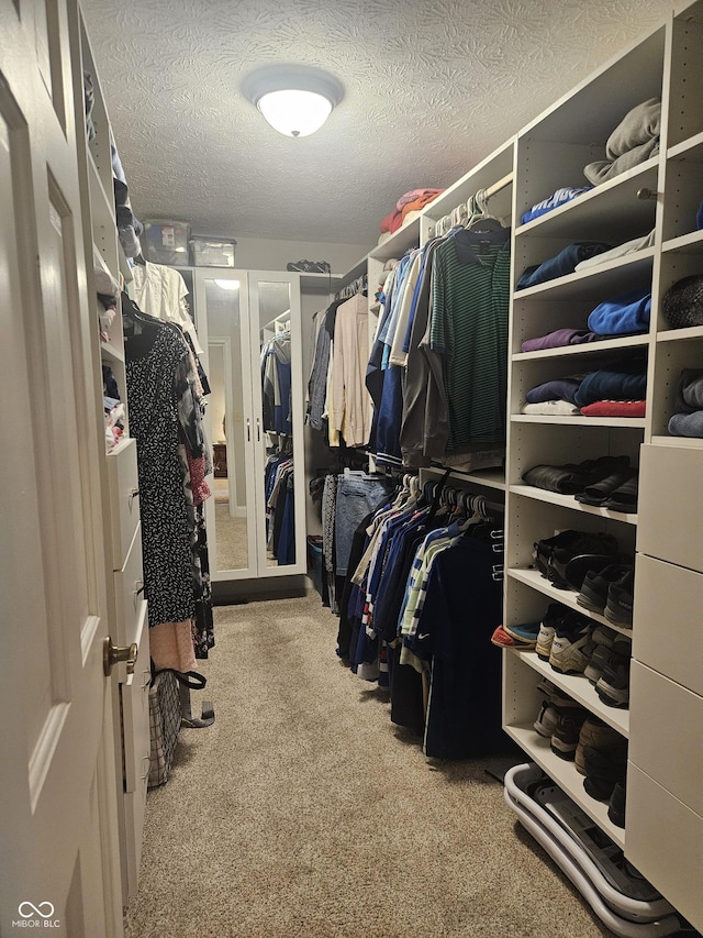spacious closet featuring carpet floors