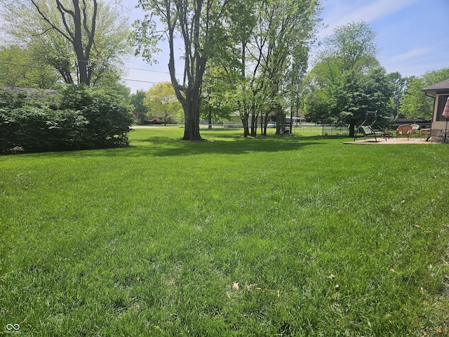 view of yard featuring a patio area