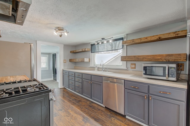 kitchen featuring open shelves, stainless steel appliances, a sink, gray cabinetry, and dark wood-style flooring