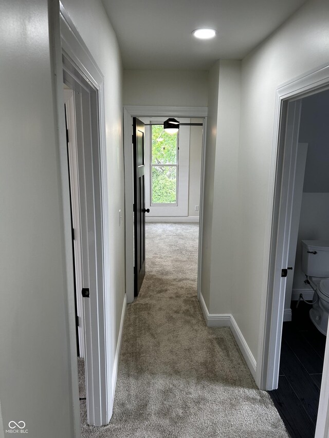 hall featuring carpet flooring and baseboards