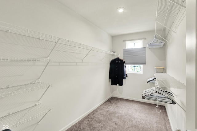5366 Laurel Crest Run, Noblesville, IN 46062 - spacious closet featuring carpet