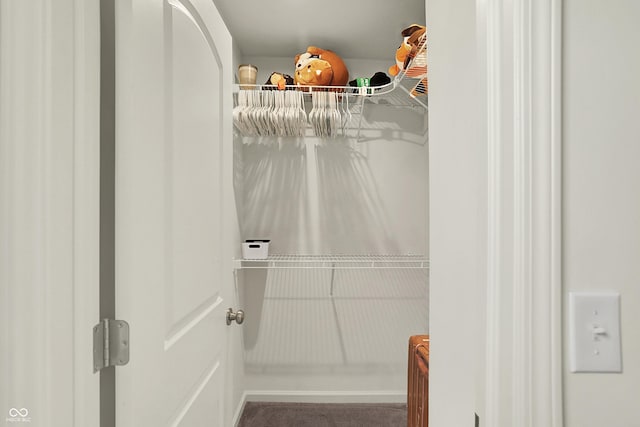 5366 Laurel Crest Run, Noblesville, IN 46062 - view of spacious closet