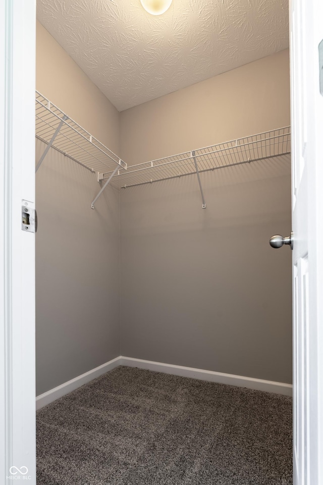 6491 Enclave Blvd, Greenwood, IN 46143 - spacious closet featuring carpet floors