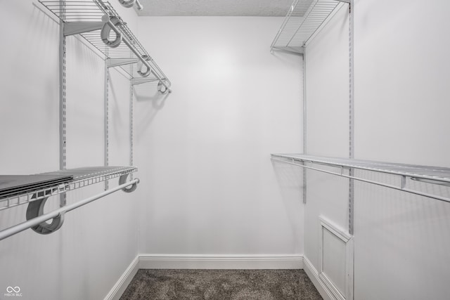 51 Glasgow Ln, Noblesville, IN 46060 - walk in closet featuring carpet floors