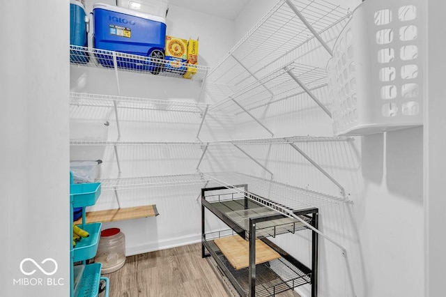 5256 Bramwell Ln, Whitestown, IN 46075 - spacious closet featuring wood finished floors