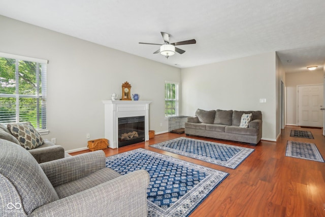 13063 E 131st St, Fishers, IN 46037 - living room with a ceiling fan, wood finished floors, plenty of natural light, and a glass covered fireplace