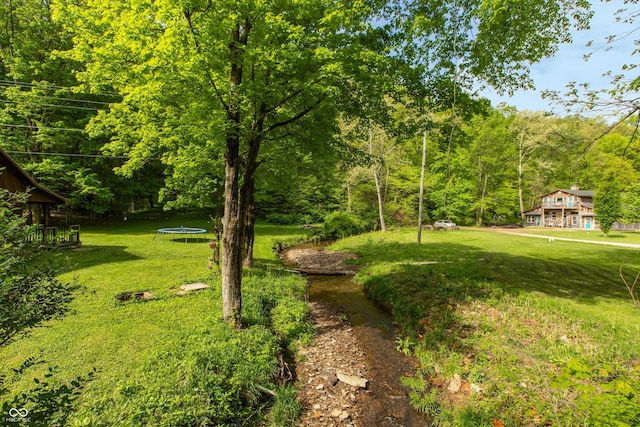 7730 Bear Creek Rd, Morgantown, IN 46160 - view of green lawn with a trampoline and a view of trees