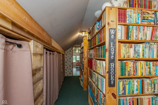 7730 Bear Creek Rd, Morgantown, IN 46160 - hall featuring vaulted ceiling and carpet floors