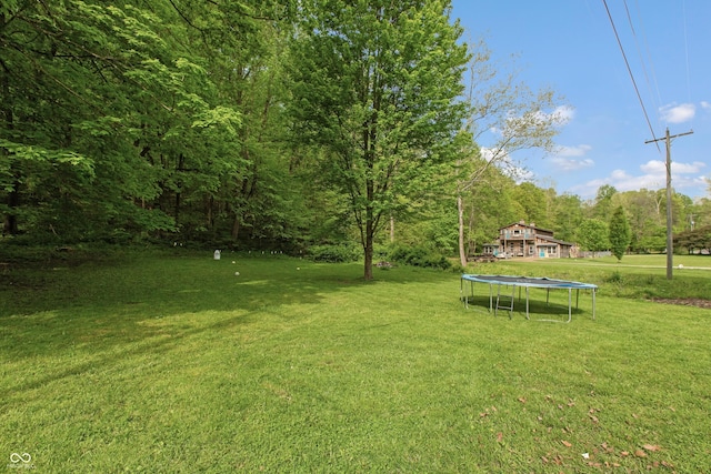 7730 Bear Creek Rd, Morgantown, IN 46160 - view of green lawn with a trampoline and a view of trees