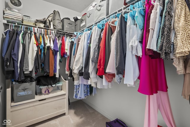 952 Workington Cir, Westfield, IN 46074 - spacious closet featuring carpet flooring