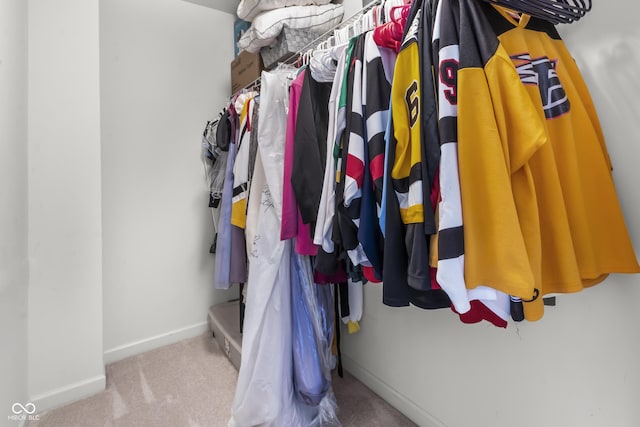 952 Workington Cir, Westfield, IN 46074 - walk in closet with carpet