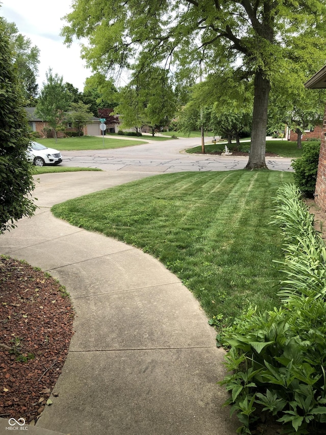 3619 31st St, Columbus, IN 47203 - view of grassy yard