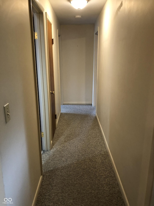 3619 31st St, Columbus, IN 47203 - hallway featuring carpet floors and baseboards
