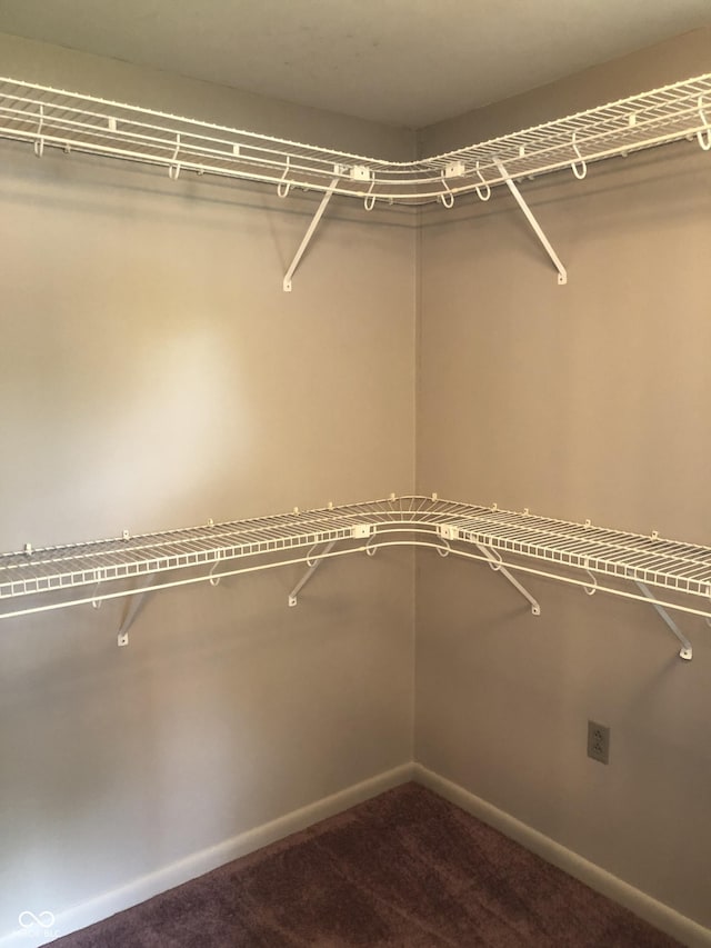 3619 31st St, Columbus, IN 47203 - spacious closet featuring carpet floors