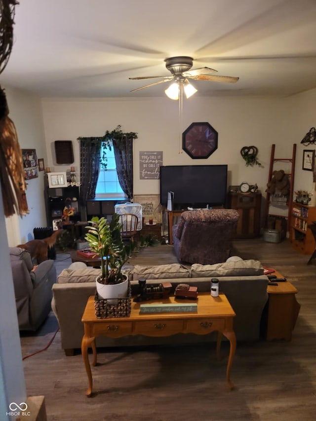 living room featuring a ceiling fan and wood finished floors