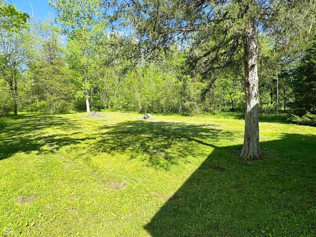 view of green lawn