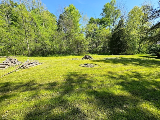 view of green lawn