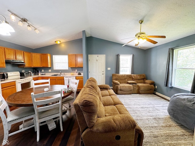 living area with vaulted ceiling, wood finished floors, ceiling fan, healthy amount of natural light, and a textured ceiling