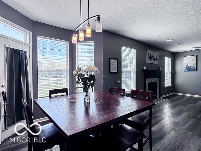 6155 W Bayfront, Mccordsville, IN 46055 - dining area with a textured ceiling, wood finished floors, plenty of natural light, a fireplace, and baseboards