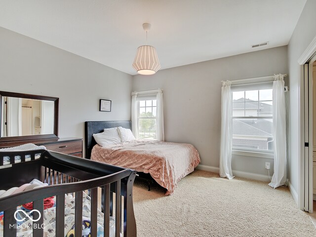 6648 Westminster Dr, Zionsville, IN 46077 - photo 38