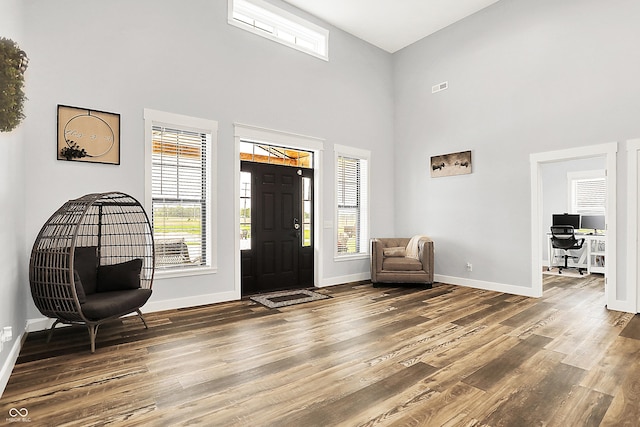 foyer entrance with wood finished floors, healthy amount of natural light, a towering ceiling, and baseboards