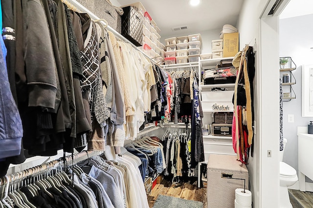 walk in closet featuring wood finished floors